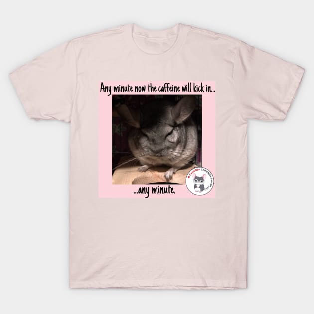 Chinchilla Thoughts T-Shirt by canchinrescue